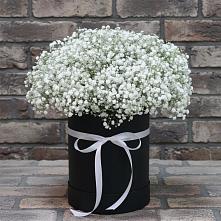 Цветочная композиция из Гипсофила в шляпной коробке в Петровке