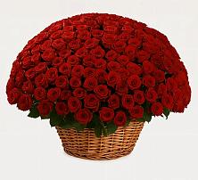 Премиум букет из: Розы в Петровке